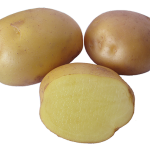 Siemenperuna 'Jussi' 3kg