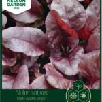 Punajuuri 'Bull´s Blood'