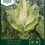 Suippokaali 'Filderkraut'