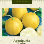Sitruunakurkku 'Lemon'