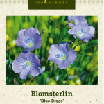 Punapellava 'Blue Dress'