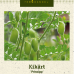 Kikherne 'Principe'