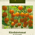 Kirsikkatomaatti F1 'Sungold'