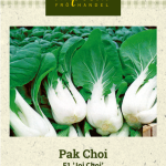 Pinaattikiinankaali Pak Choi F1 'Joi Choi'