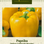 Paprika 'Yellow California Wonder'