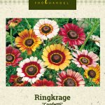 Kirjokakkara 'Confetti'