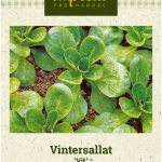 Vuonankaali 'Vit'