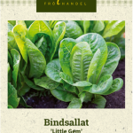 Sidesalaatti ’Little Gem’