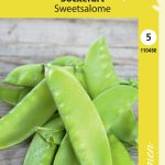 Sokeriherne 'Sweetsalome'