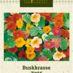 Pensasköynnöskrassi 'Alaska'