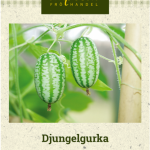 Viidakkokurkku