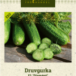 Avomaakurkku F1 'Diamant' Luomu