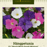Riippupetunia F1 'Shock Wave Spark Mixture'