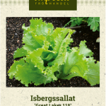 Rapea Keräsalaatti ’Great Lakes 118’
