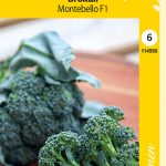 Varsiparsakaali ’Montebello’ F1