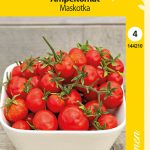 Amppelitomaatti 'Maskotka'