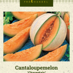 Cantaloupemeloni 'Charentais'