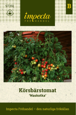 Kirsikkatomaatti 'Maskotka'