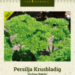 Kähäräpersilja 'Grüne Perle' Luomu