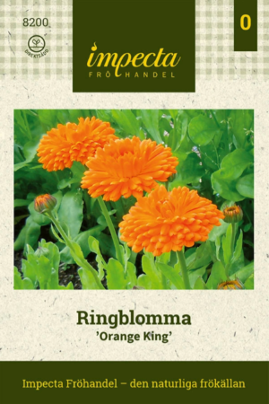 Tarhakehäkukka 'Orange King'