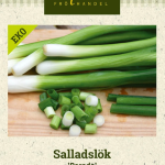 Talvisipuli 'Parade' Luomu