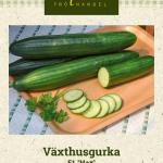 Kasvihuonekurkku F1 'Max'