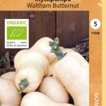 Myskikurpitsa ’Waltham Butternut’ Luomu