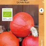Kurpitsa ’Uchiki Kuri’ Luomu