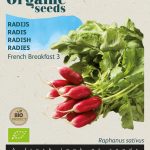 Rädisa 'French Breakfast 3' Ekologisk