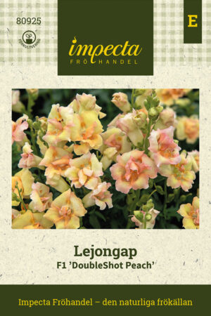 Lejongap F1 'DoubleShot Peach'