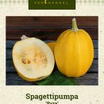 Spagettikurpitsa 'Pyza'