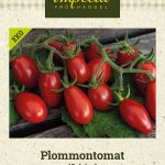 Luumutomaatti 'Celsior' Luomu