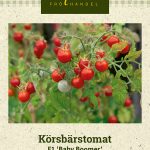Kirsikkatomaatti F1 'Baby Boomer'