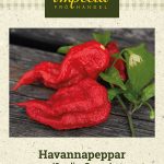 Havannapaprika 'Carolina Reaper'