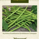 Taitepapu 'Mascaret'